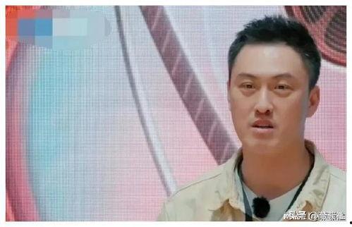 娱乐圈吃瓜爆料导演,揭秘娱乐圈吃瓜爆料的真相